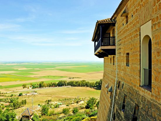 1日1組限定！ アンダルシア初夏の風物詩　ひまわり畑見学ツアー ＜貸切／5月下旬～6月上旬限定／約4時間／日本語アシスタント／セビリア発＞