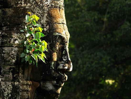 アンコールワット＋トム＋タ・プローム 3大遺跡ツアー  夕日鑑賞＜貸切／1日／クメールランチ／日本語ガイド／朝日有＞