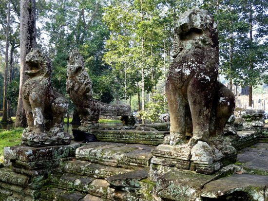 アンコールワット＋トム＋タ・プローム 3大遺跡ツアー  夕日鑑賞＜貸切／1日／クメールランチ／日本語ガイド／朝日有＞
