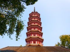 Buddhist Temple The Six Banyan Pagoda Guangzhou