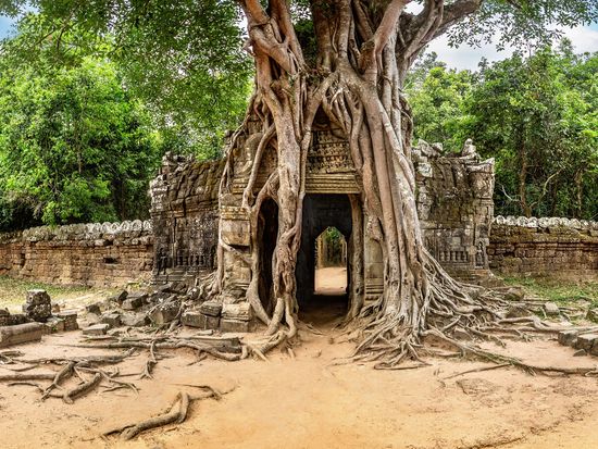 Cambodia_SIem_Reap_Ta Som_shutterstock_1197169348