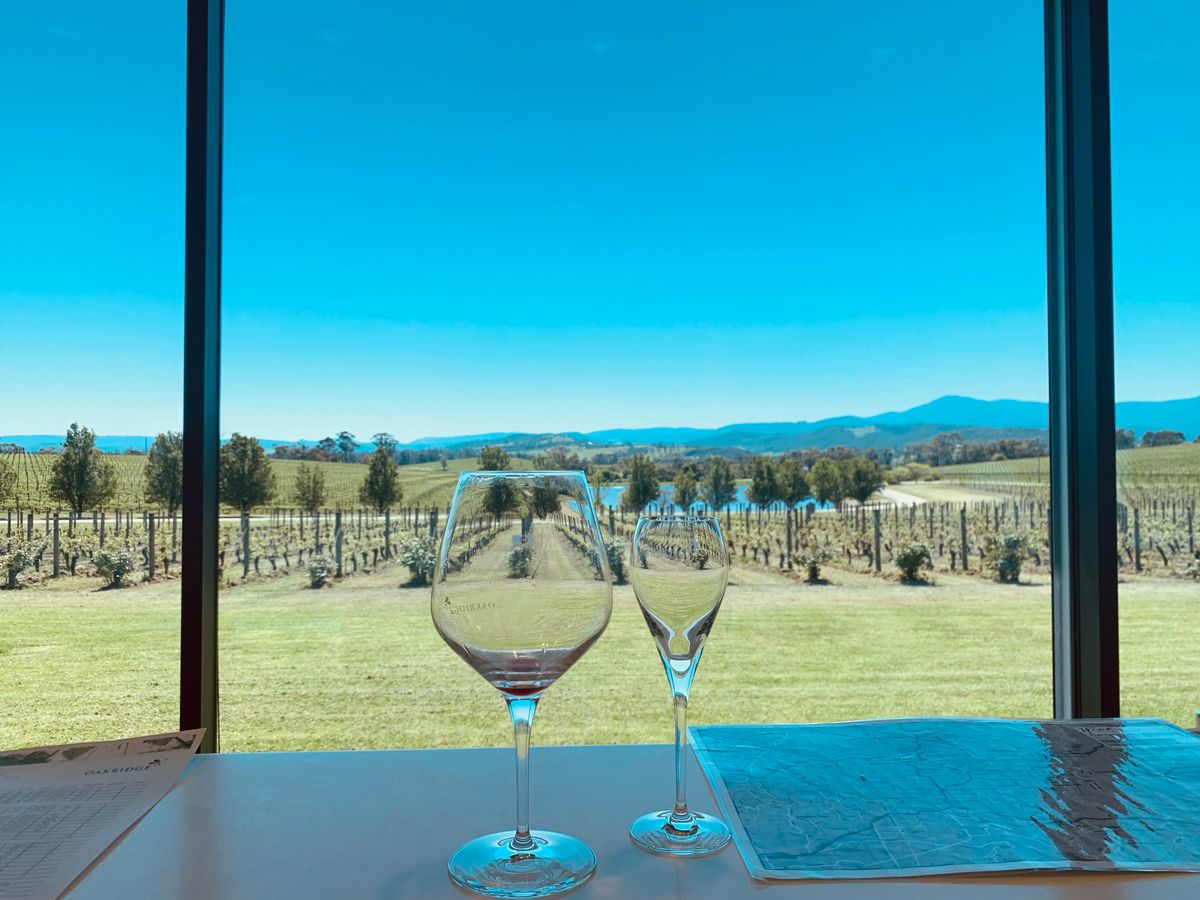 ヤラバレーワイナリー ドメインシャンドンとオークリッジワイナリー＆ジン製造工場ツアー＜試飲付／日本語ガイド／空港お送り可＞ メルボルンの