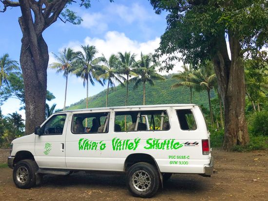 ワイピオ渓谷観光ツアー　窓ガラス無しの四輪駆動車で遮るもののない壮大な景色を堪能！約366メートル滝やタロイモ水田など写真スポット多数＜1.5時間／英語ガイド＞