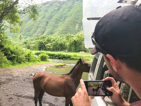 ワイピオ渓谷観光ツアー　窓ガラス無しの四輪駆動車で遮るもののない壮大な景色を堪能！約366メートル滝やタロイモ水田など写真スポット多数＜1.5時間／英語ガイド＞