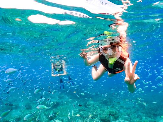 繧ｹ繝溘Ο繝ｳ蟲ｶ繧ｹ繝寂蔵