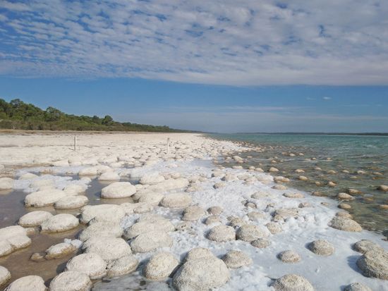 20190716031449_1161152235_14822_0