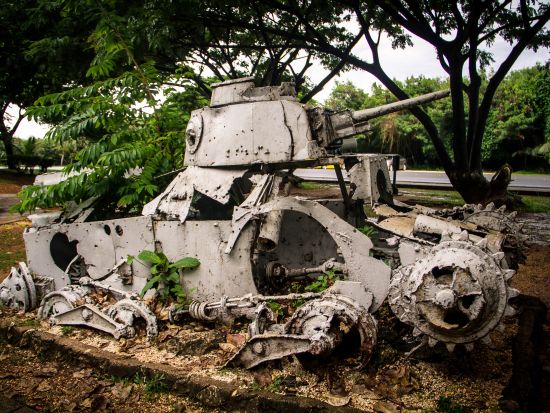 政府公認ガイド　ケイコさんと行く 貸切観光ツアー＜日本語ガイド＞ by ターシ・ツアーズ