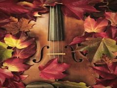 4seasons_cover
