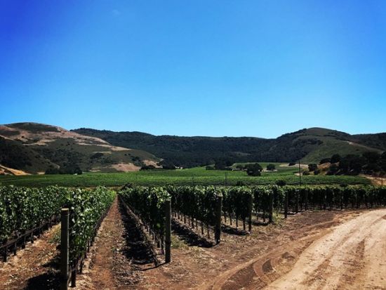 現地ソムリエ監修のワイナリーツアー！贅沢プライベート ソノマカウンティー  カスタムあり＜貸切／日本語ドライバーガイド／定員1～7名／8～10時間／ホテル送迎＞