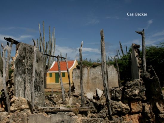 ボネール　ノースツアー＜英語ガイド/ボネール発＞