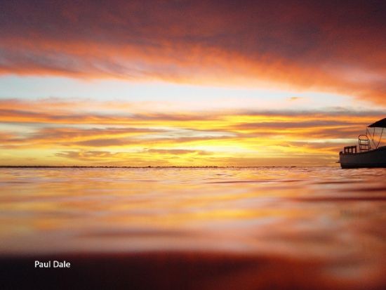 ボネール　サウスツアー（英語ガイド/ボネール発）