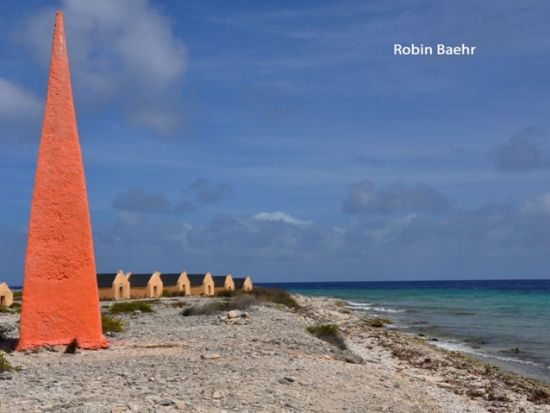 ボネール　サウスツアー（英語ガイド/ボネール発）