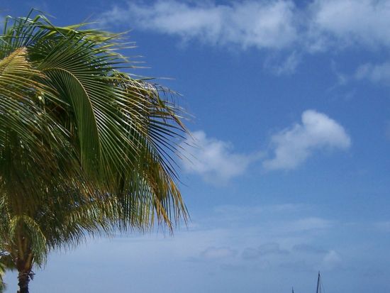 ボネール　ノース＆サウスツアー＜英語ガイド/ボネール発＞