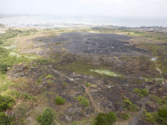 トリニダード　南方＆ピッチレイクツアー＜英語ガイド/トリニダード・トバゴ発＞