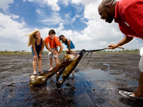 トリニダード　アイランド周遊ツアー＜英語ガイド/トリニダード・トバゴ発＞