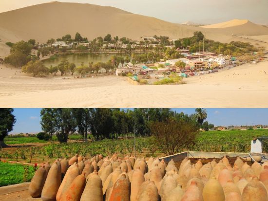 ワカチナ1日観光ツアー　オアシス＆ワイナリー訪問＋サンドバギー・サンドボーディング体験！＜日本語ガイド／昼食付／リマ発＞