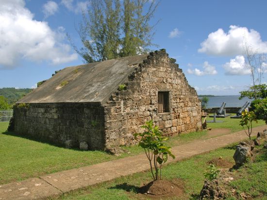 トバゴ　日帰りトバゴツアー＜英語ガイド／トリニダード・トバゴ発＞
