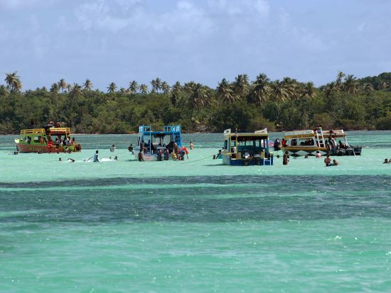 トバゴ　日帰りトバゴツアー＜英語ガイド／トリニダード・トバゴ発＞