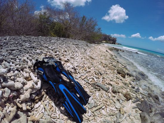 キュラソー　国立公園ジープサファリツアー＜英語ガイド/キュラソー発＞