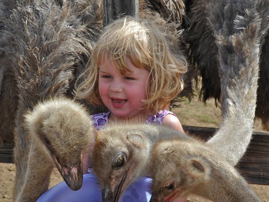 キュラソー　国立公園ジープサファリツアー＜英語ガイド/キュラソー発＞