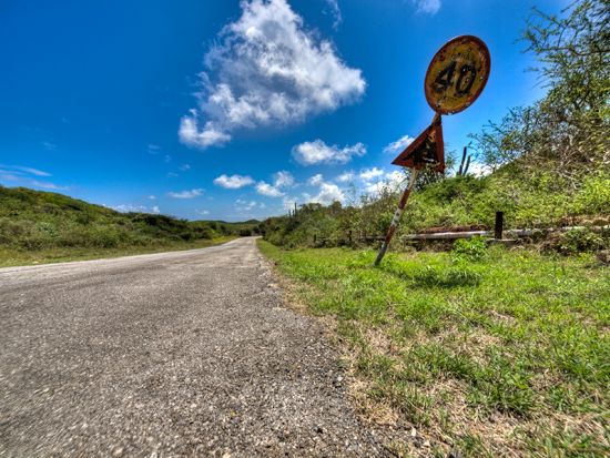 キュラソー　ハト洞窟＆ダチョウ農園　コンビツアー＜英語ガイド/キュラソー発＞