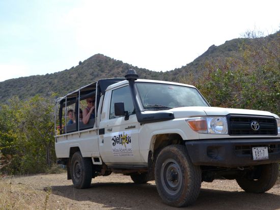 キュラソー　ハト洞窟＆ダチョウ農園　コンビツアー＜英語ガイド/キュラソー発＞