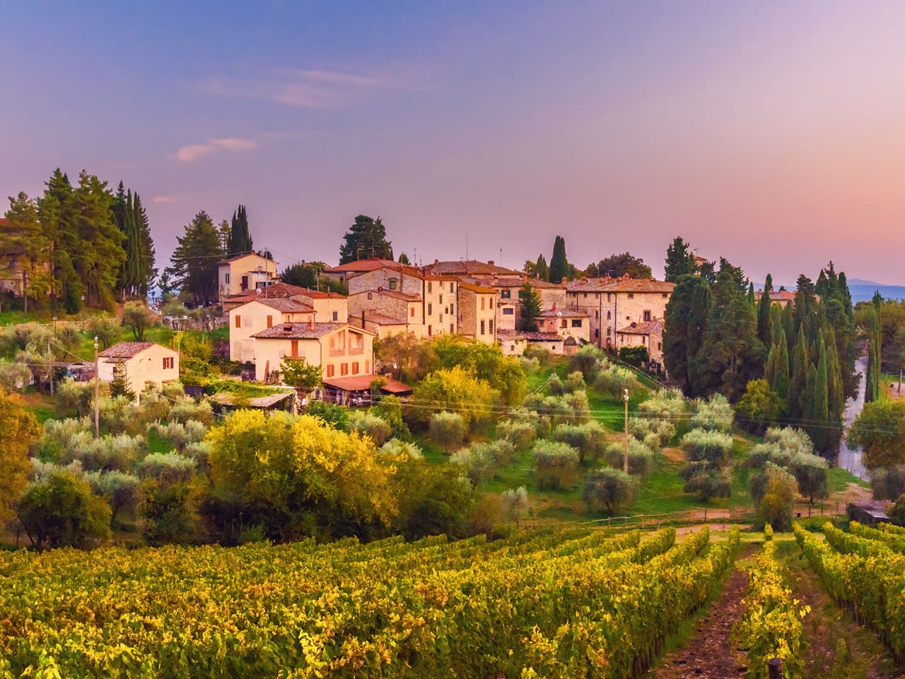 Chianti Wine Tour from Florence with Olive Oil Tasting tours