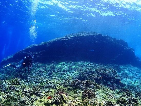 20181119014207_1600939756_13835_0