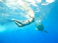 sea turtle similan island hopping