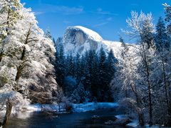※Top_yosemite_Natinal_Park_shutterstock_88866103