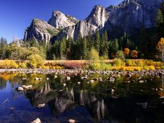 USA_California_Yosemite National Park_shutterstock_201033065