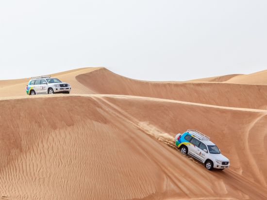 【混載】朝から楽しむデザートサファリ　砂丘ドライブ＋アクティビティ（ラクダ乗り等）＜朝発／往復送迎付／ドバイ発＞