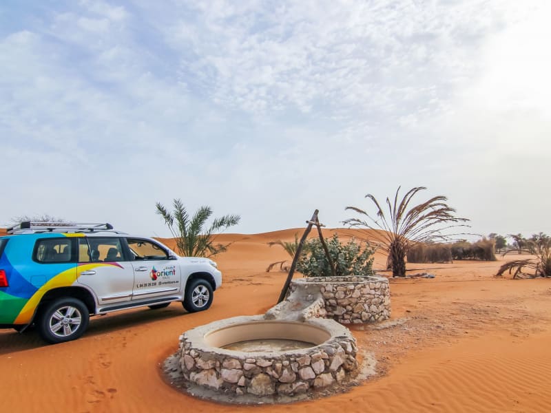 UAE, Dessert Safari, Dubai, 4WD