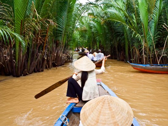 メコン川クルーズ＋永長寺観光ツアー　ベンタイン市場や有名レストランなど解散場所も選べる貸切プラン＜往復送迎／現地ガイド(日本語可)／象耳魚の昼食＞
