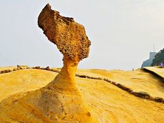 Enjoy a relaxing and picturesque seacoast attraction- Queen Head.