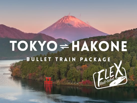 Japan_Flex-Rail-Ticket_Hakone