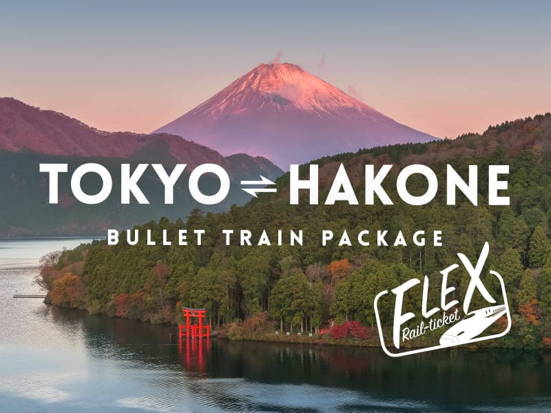 Japan_Flex-Rail-Ticket_Hakone