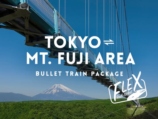 Japan_Flex-Rail-Ticket_Fuji