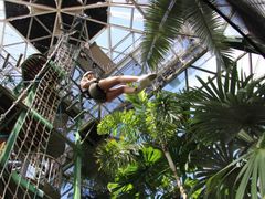Cairns ZOOM and Wildlife Dome Ropes Course
