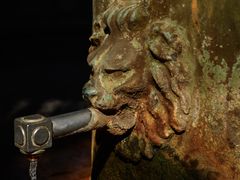 Fuente Agria