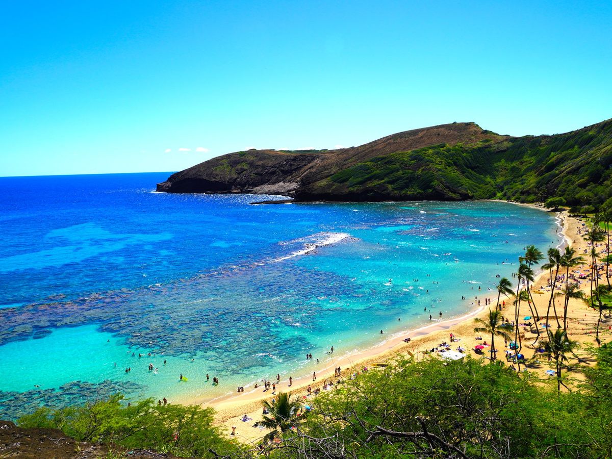 ノースショア ハレイワ 観光 シャトルサービス 半日 ランチ付きプランあり ハワイ オアフ島 ホノルル の観光 オプショナルツアー専門 Veltra ベルトラ ノースショア ハレイワ 観光 シャトルサービス 半日 ランチ付きプランあり ハワイ オアフ島 ホノルル の観光 オプショナルツアー専門 Veltra ベルトラ