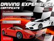 Sample Driving Certificate