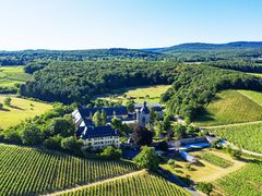 Rhinegau_Schloss Vollrads_shutterstock_1480106249
