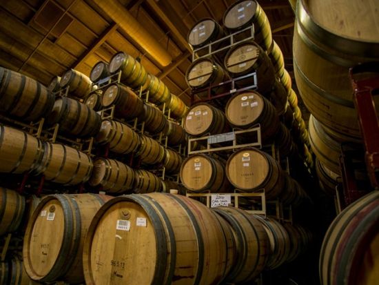 ナパ＆ソノマバレー　カルフォルニア・ワインナリーツアー ＜2軒／試飲付き／英語ガイド＞by Skyline Sightseeing