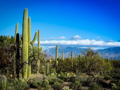 Sedona_shutterstock_148478387