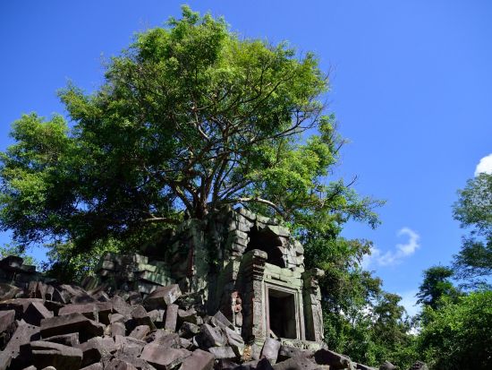 カンボジア日帰り観光ツアー　ベンメリア遺跡＋コーケー遺跡　＜昼食付き／日本語ガイド＞