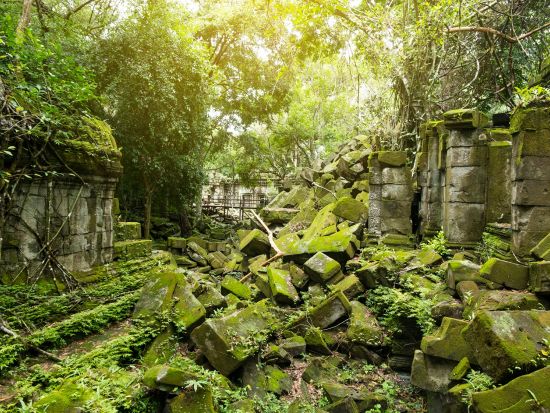 カンボジア日帰り観光ツアー　ベンメリア遺跡＋コーケー遺跡　＜昼食付き／日本語ガイド＞