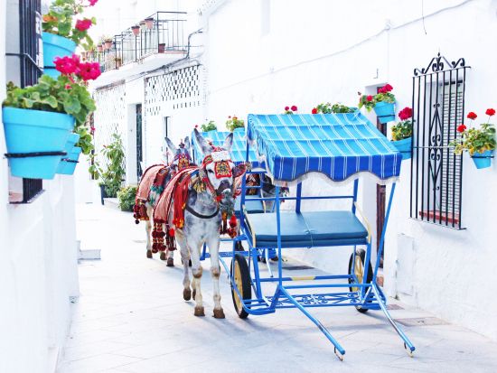 アンダルシアの白い村 ミハス＆フリヒリアナ＆ネルハ 1日観光プライベートツアー＜現地語ドライバー／マラガ発着＞