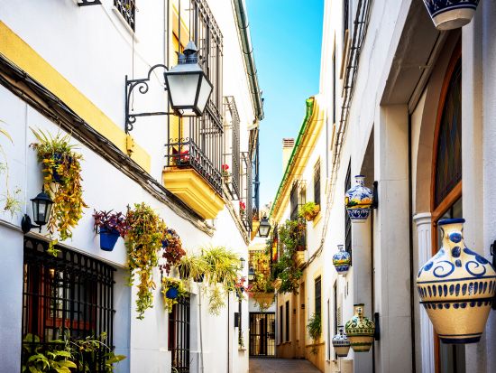 コルドバ＆モンテフリオ　1日観光ツアー ＜貸切／日本語ガイド／食事付き／セビリア発グラナダ着＞