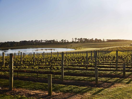 Point_Leo_101017_000106